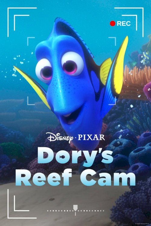 Dory's Reef Cam Dory's Reef Cam