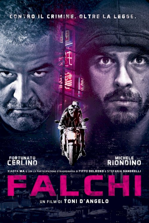 Falchi Falchi