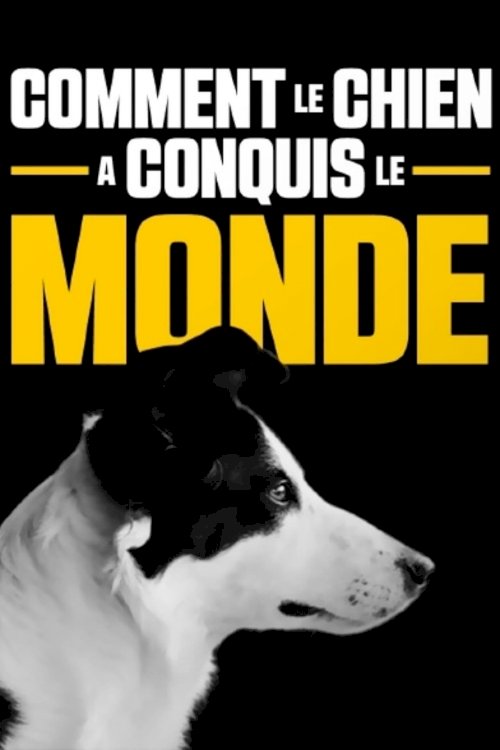 Comment le chien a conquis le monde Comment le chien a conquis le monde