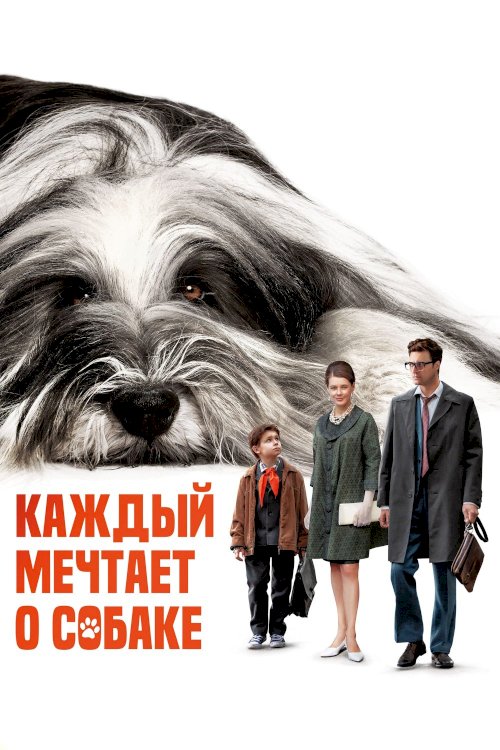 Everyone Dreams of a Dog Everyone Dreams of a Dog