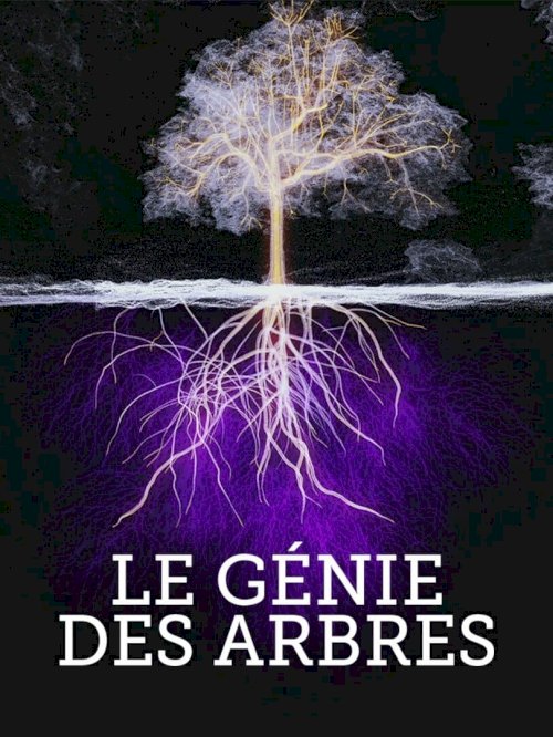 Trees, a Global Superpower Trees, a Global Superpower
