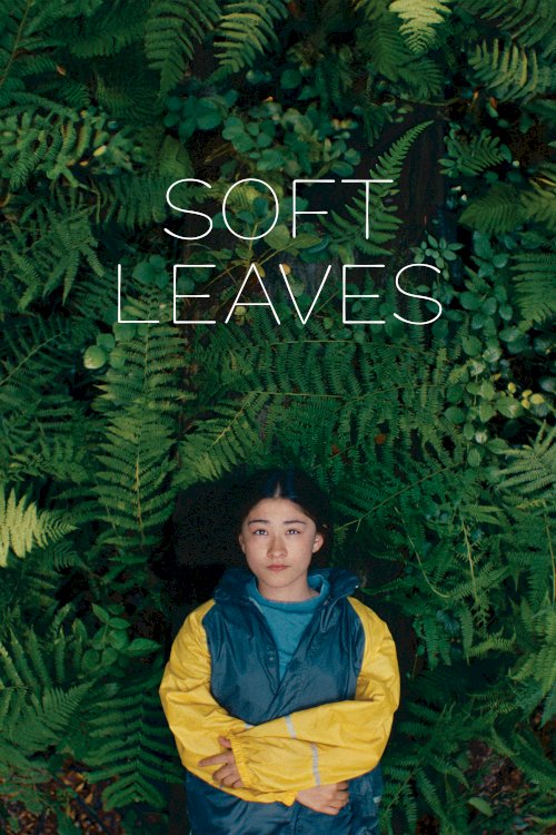 Soft Leaves Soft Leaves