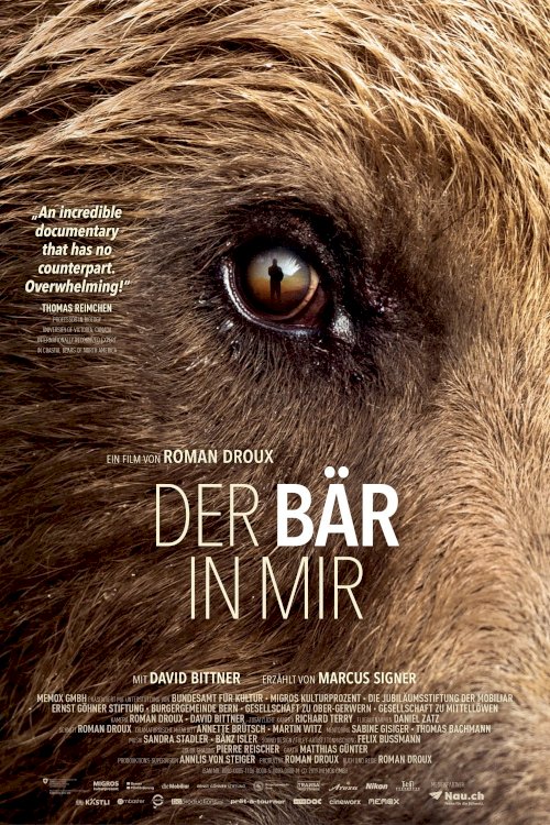 Bear-Like Bear-Like