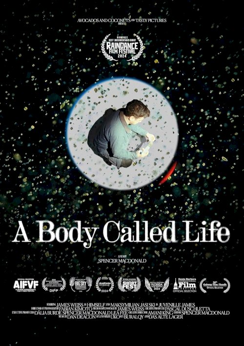 A Body Called Life A Body Called Life