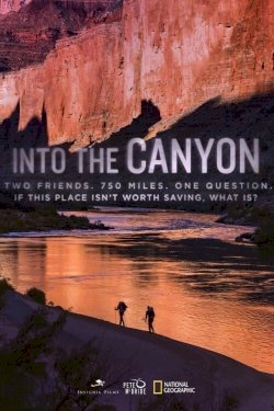 Into the Grand Canyon Into the Grand Canyon