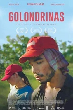 Golondrinas Golondrinas