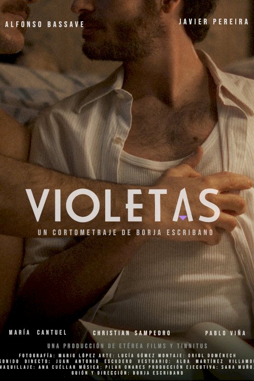 Violetas Violetas