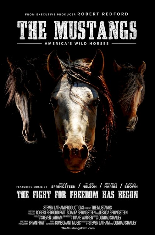The Mustangs: America's Wild Horses