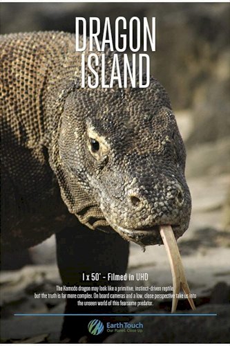 Dragon Island Dragon Island
