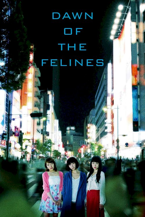 Dawn of the Felines Dawn of the Felines