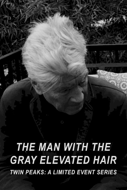 The Man with the Gray Elevated Hair The Man with the Gray Elevated Hair