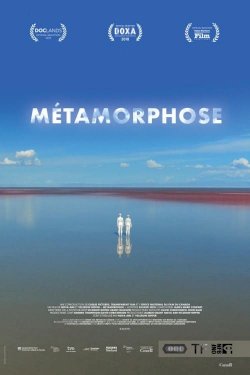 Metamorphosis Metamorphosis