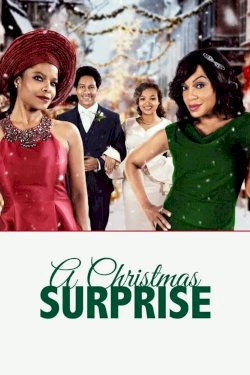 A Christmas Surprise A Christmas Surprise