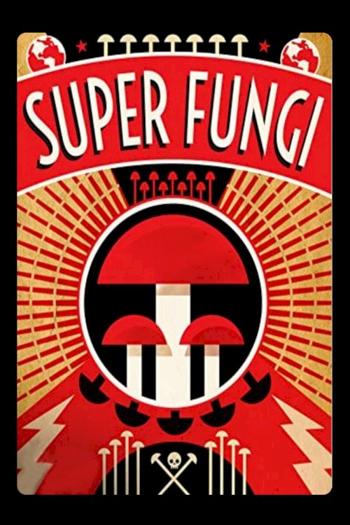 Super Fungi Super Fungi