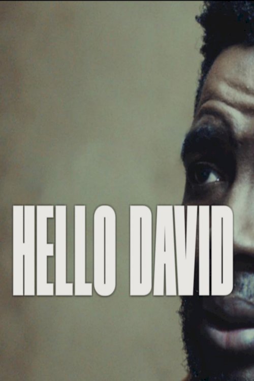Hello David Hello David