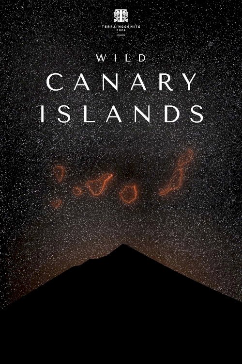 Wild Canary Islands Wild Canary Islands