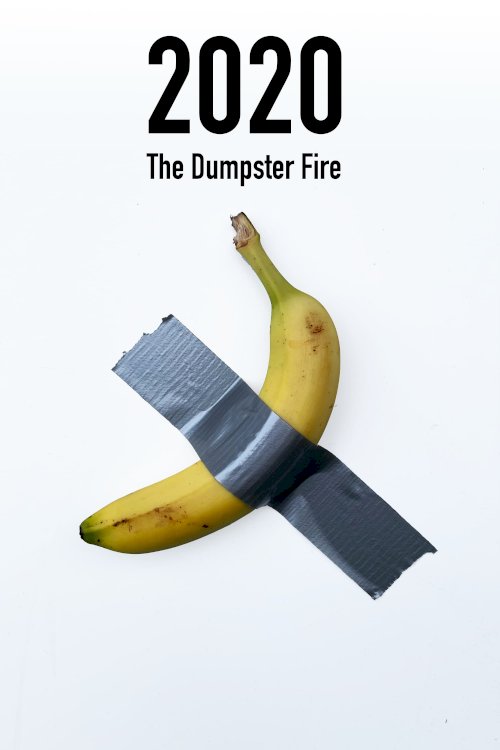 2020: The Dumpster Fire 2020: The Dumpster Fire