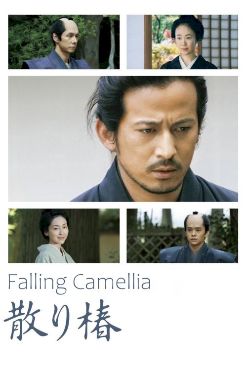 Falling Camellia Falling Camellia