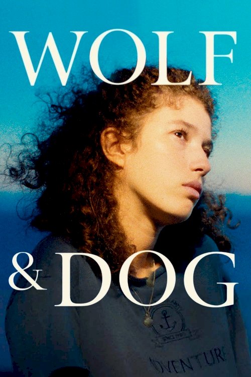 Wolf and Dog Wolf and Dog