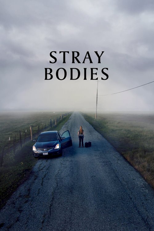 Stray Bodies Stray Bodies