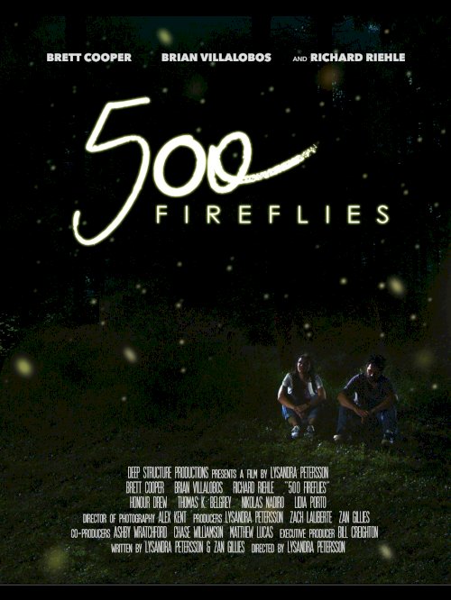 500 Fireflies