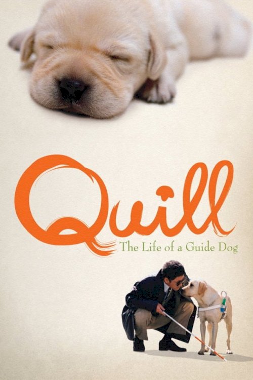 Quill: The Life of a Guide Dog Quill: The Life of a Guide Dog