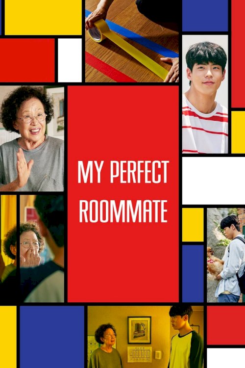 My Perfect Roommate My Perfect Roommate