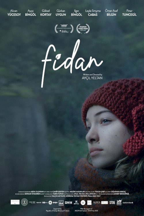 Fidan Fidan