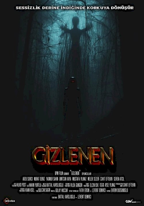 Gizlenen