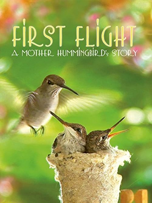 First Flight: A Mother Hummingbird's Story First Flight: A Mother Hummingbird's Story