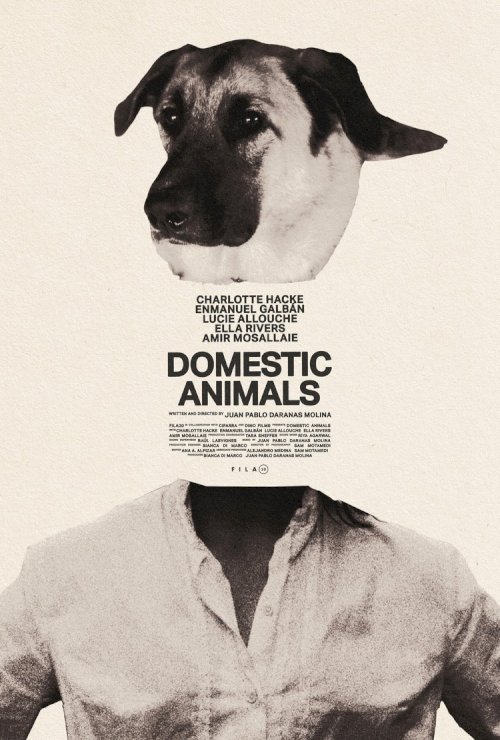 Domestic Animals Domestic Animals