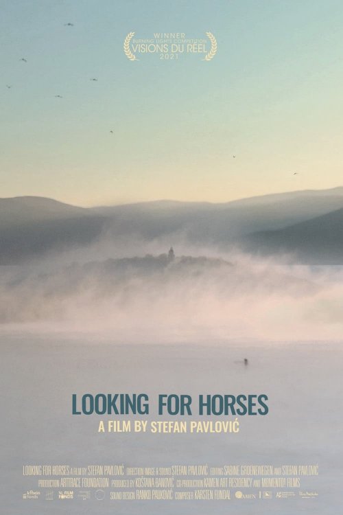 Looking for Horses Looking for Horses