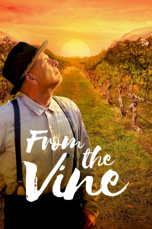 From the Vine From the Vine