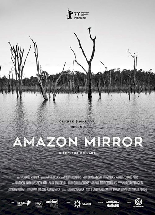 Amazon Mirror