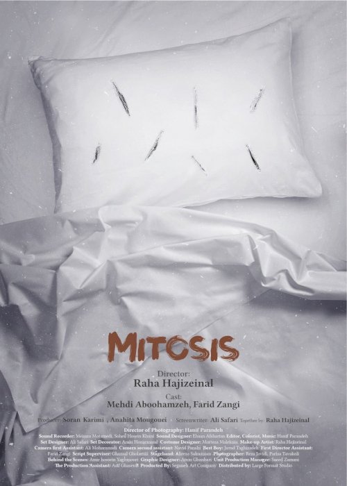 Mitosis Mitosis