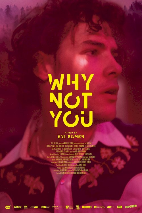 Why Not You