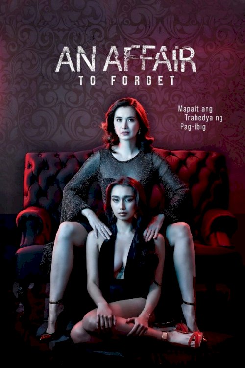 An Affair to Forget