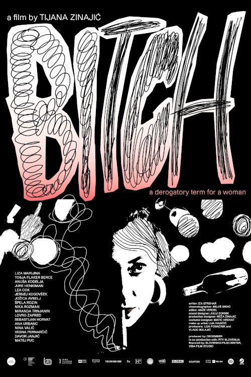 Bitch, A Derogatory Term for a Woman Bitch, A Derogatory Term for a Woman