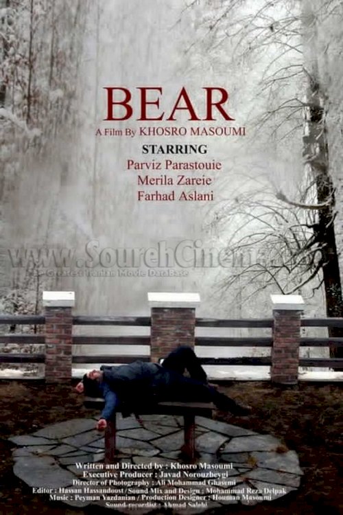 The Bear The Bear