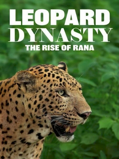 Leopard Dynasty – The Rise of Rana Leopard Dynasty – The Rise of Rana