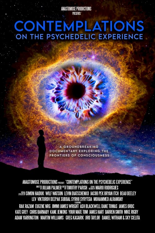 Contemplations: On the Psychedelic Experience Contemplations: On the Psychedelic Experience