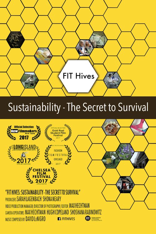 FIT Hives: Sustainability - The Secret to Survival
