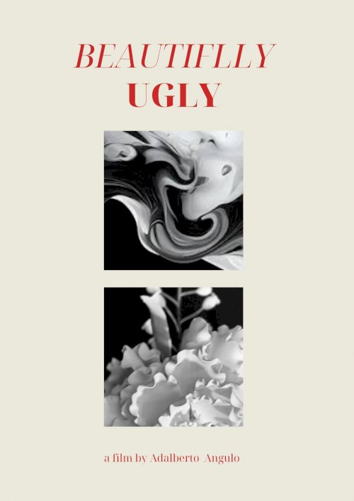 Beautifully Ugly Beautifully Ugly