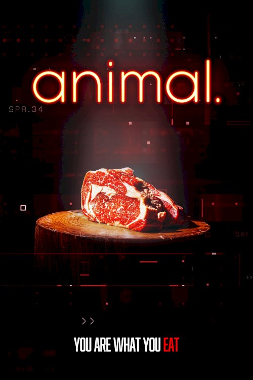 animal. animal.