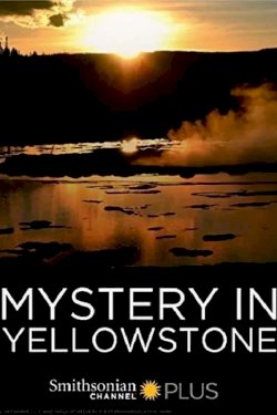Mystery in Yellowstone Mystery in Yellowstone