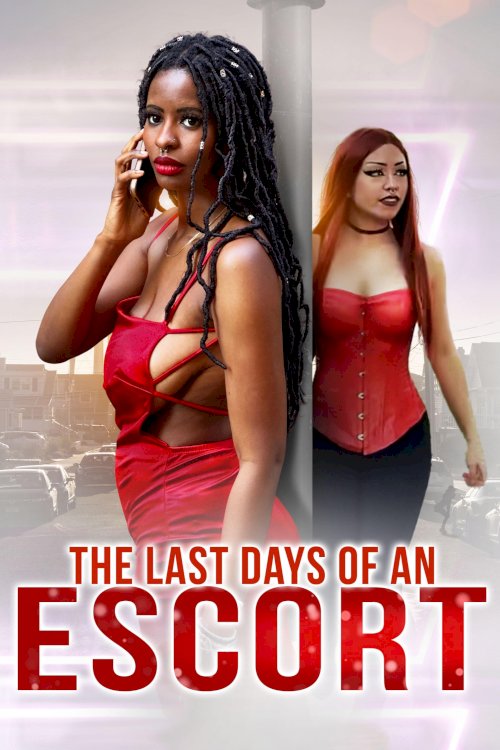 The Last Days of an Escort The Last Days of an Escort