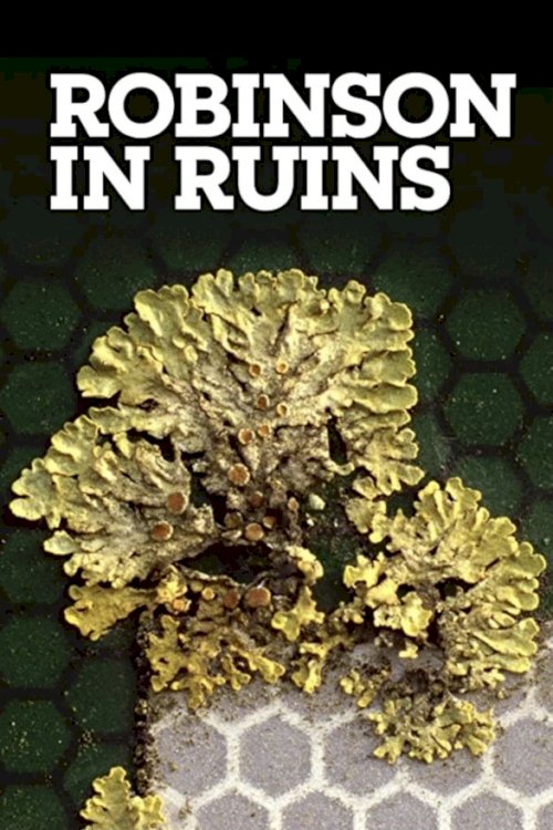 Robinson in Ruins Robinson in Ruins