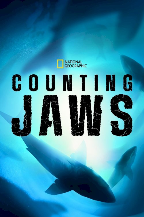 Counting Jaws Counting Jaws