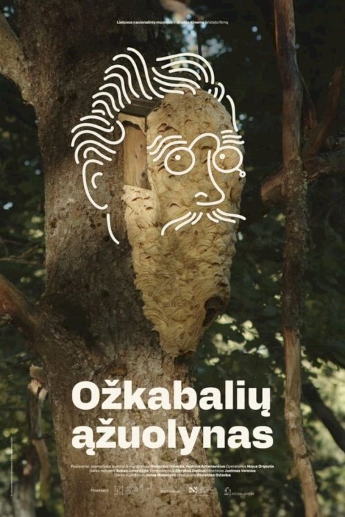 Oaks of Ožkabaliai Oaks of Ožkabaliai
