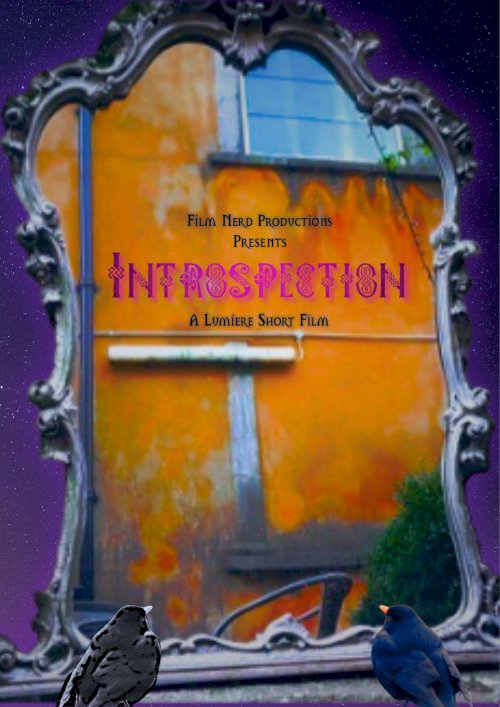 Introspection